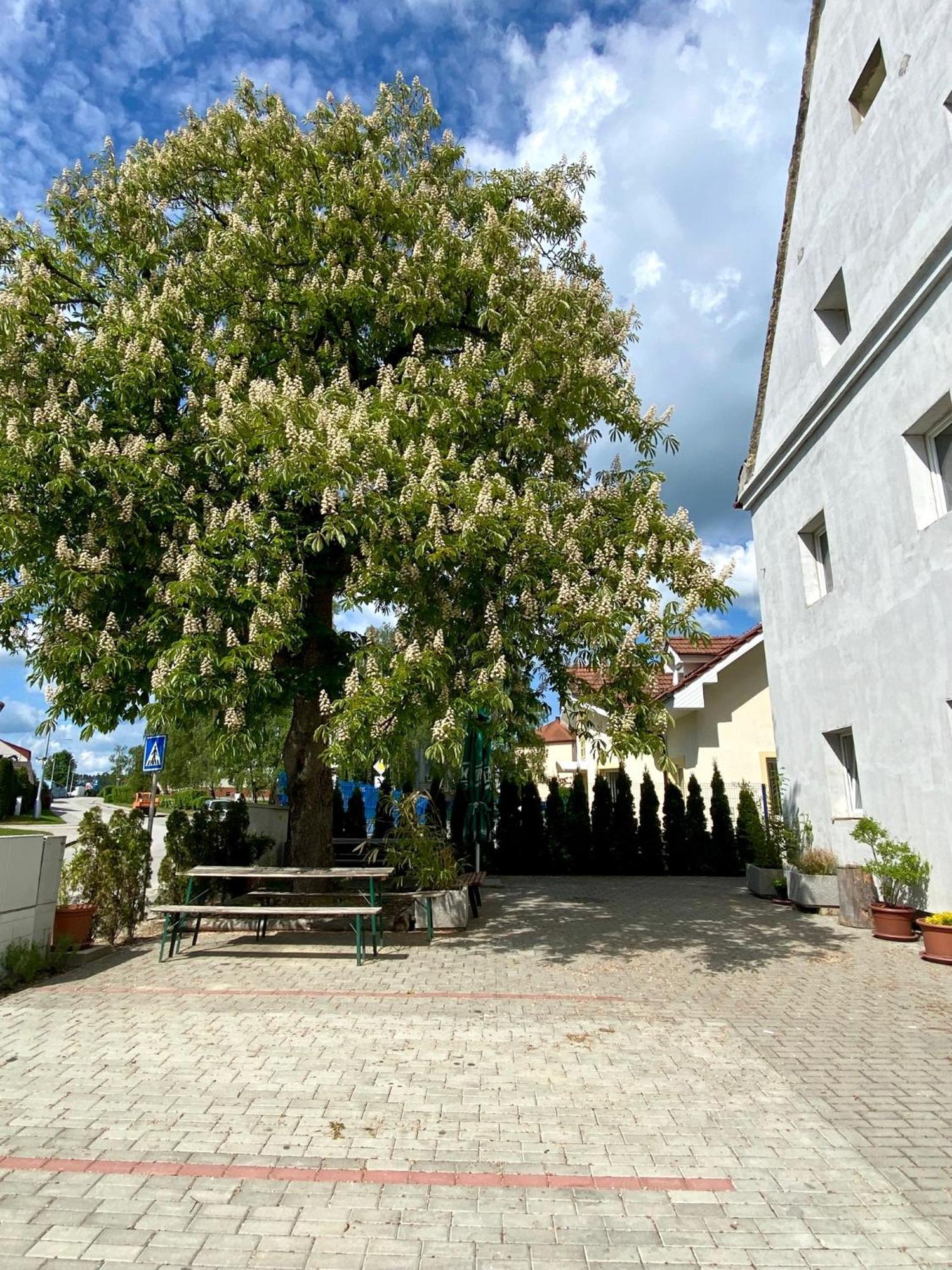Ubytovna Kaplice Exterior photo